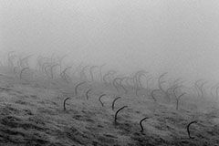 Das Meer