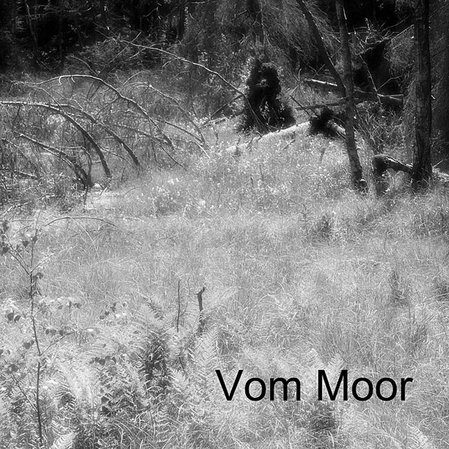 Vom Moor